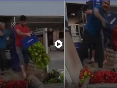 مزارعون أتراك يلقون أطنان من الخضروات الطازجة في حاويات القمامة.. والتفاصيل (فيديو وصور)
