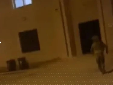 شاهد|| بحادثة "استفزازية".. جندي إسرائيلي يلقي قنبلة داخل مسجد فلسطيني أثناء رفع الأذان