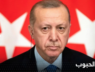 أردوغان يبدأ وساطة الحبوب بحديث إلى بوتين وزيلينسكي