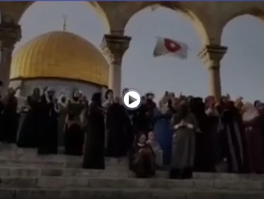 فرح حرائر الأقصى بالرد الفلسطيني على الحملة الشرسة ضد القدس يعم وسائل التواصل (فيديو)