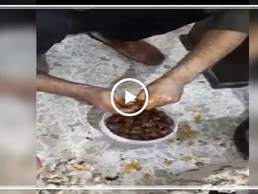 بالفيديو|| فرع تابع للنظام السوري يضبط كمية "كبتاغون" مخبأة داخل حبات مكدوس!