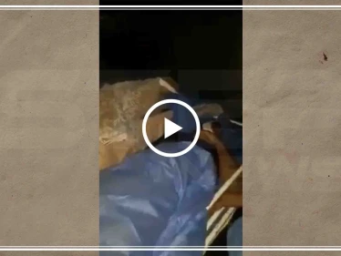 بالدهس والرمي بالرصاص.. ليلة دامية تحصد عشرات القتلى ومئات الجرحى بمظاهرات كربلاء (فيديو)