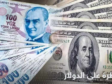 الليرة التركية بأدنى مستوياتها.. ومصر تتحرك للسيطرة على الدولار - وكالة ستيب نيوز
