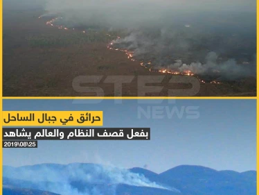 ما الفرق بين سوريا والأمازون برأيك؟!