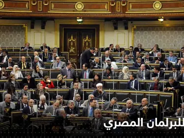 البرلمان المصري يتحرك بعد عملية احتيال كبيرة نفذتها منصة هوج بول - وكالة ستيب نيوز