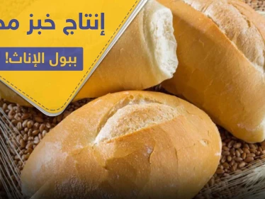 فرنسا تبدأ بإنتاج خبز مخصب بـ بول الإناث.. والتفاصيل!