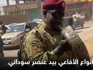 شاهد|| عنصر من القوات المسلحة السودانية يحمل أحد أخطر أنواع الأفاعي ويتبختر