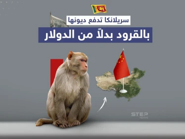 بعد تعثرها عن سداد ديونها.. سريلانكا تستعين بالقرود لتسديد قروضها للصين
