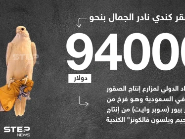 بيع صقر كندي نادر الجمال بمبلغ قياسي في السعودية