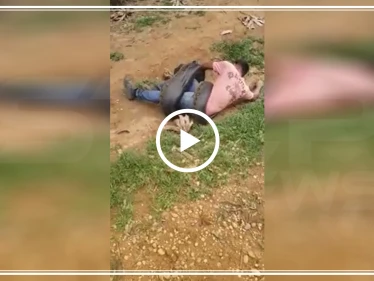 شاهد بالفيديو|| ثعبان ضخم يلتف حول شاب محاولاً افتراسه!!