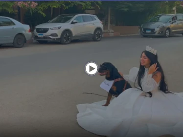 بالفيديو|| البلوجر هبة مبروك تعلن زواجها من كلب وتنشر حفل زفافها مثيرة استفزاز المصريين