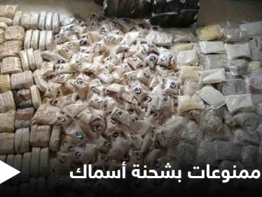 بعد إصدار حكم الإعدام بتجار الممنوعات.. الكويت تضبط كميات مهربة في شحنة أسماك وهذا مصير الفاعل