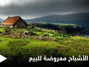 جزيرة الأشباح المهجورة منذ قرن.. معروضة للبيع بسعر زهيد ولا أحد يجرؤ على شرائها تعرف على قصتها