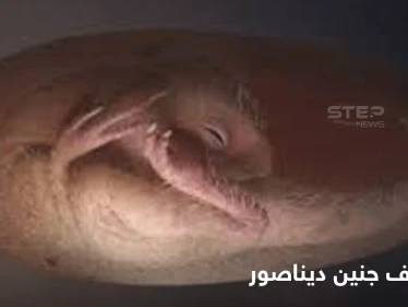 اكتشاف جنين ديناصور يتحضر للفقس على طريقة الطيور يدهش العلماء
