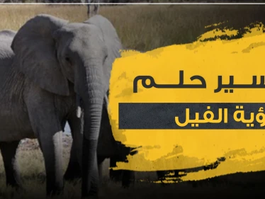 تفسير حلم الفيل بأكثر من 3 رواية وبعدة مواضع