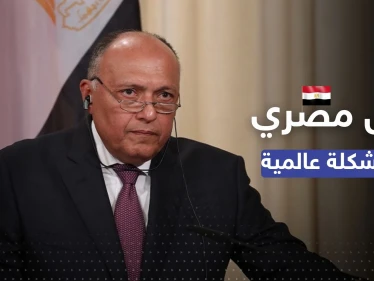مبادرة مهمة من مصر لافتتاح مركز حبوب عالمي قد يحلّ مشكلة تؤرّق العالم