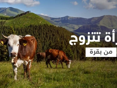 شاهد|| امرأة تزوجت بقرة في زفاف علني لسبب غير متوقع وكتبت وصية مثيرة لأولادها