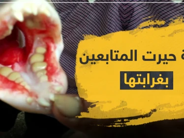 بالصور|| اكتشاف سمكة بأسنان بشرية تحيّر العلماء