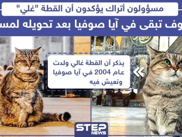 مسؤولون أتراك يؤكدون أن القطة "غلي" سوف تبقى في آيا صوفيا بعد تحويله لمسجد