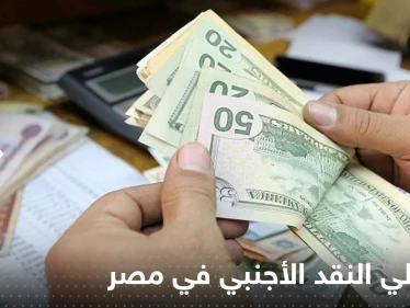 مصر.. البنك المركزي يكشف عن "مفاجأة" حول احتياطي النقد الأجنبي