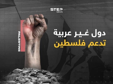 في وسط دعم من أوروبا لإسرائيل... دول غير عربية داعمة لفلسطين