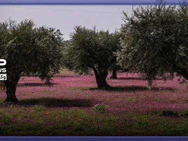 أسابيع قليلة حولّت أكبر ملّاكي الأراضي الزراعية جنوب إدلب لعامل بناء بأجرة زهيدة.. هذه قصة عبدو