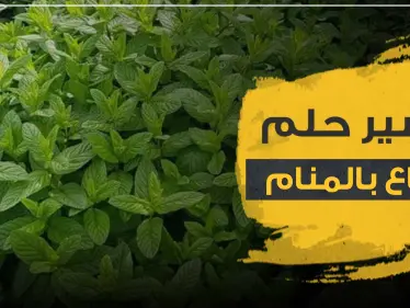 تفسير حلم النعناع بالمنام حسب المفسرين وبجميع الدلالات - وكالة ستيب نيوز