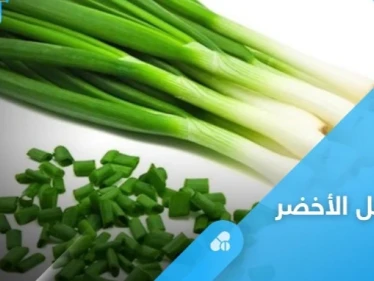 يرفع المناعة ويحارب الأمراض تعرف على فوائد البصل الأخضر