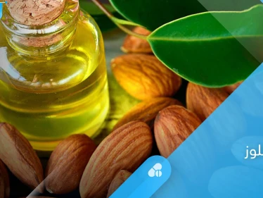تعرف على فوائد زيت اللوز للبشرة والشعر وفوائد أخرى كثيرة