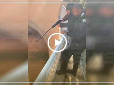 مشاهد تحبس الأنفاس.. وافد سوداني بين "أنياب النمر" في السعودية (فيديو)