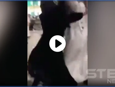 بالفيديو|| تحرش رجل سعودي بامرأة في مكانٍ عام يثير ضجة.. ومطالبات بتطبيق قانون "الإخصاء" للمتحرشين
