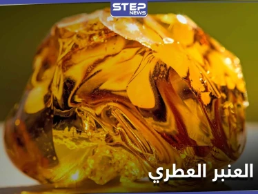 تعرف على العنبر العطري المستخرج من الحيتان .. فوائده لصحة القلب والإنجاب وتسكين الألم