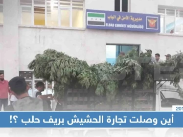 شرطة الباب تُصادر "حشيش" تازة قُطف للتو، فأين وصلت تجارة الحشيش بريف حلب!!