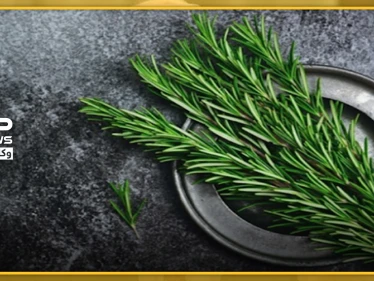 لمحاربة الإكتئاب ومشاكل الذاكرة عند الأطفال.. ينصح بتناول هذه الأعشاب - وكالة ستيب نيوز