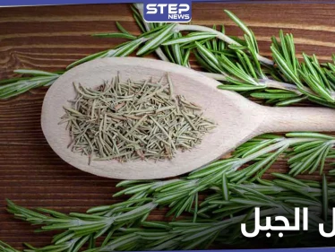 تعرّف على فوائد إكليل الجبل للصحة الجنسية للرجال وتحذير خطير من استخدامه للنساء