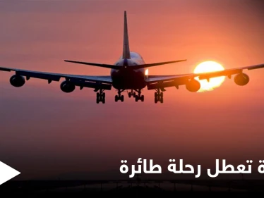 حشرة تظهر كل 17 عام تعطل رحلة طائرة أمريكية ومصادر تكشف التفاصيل