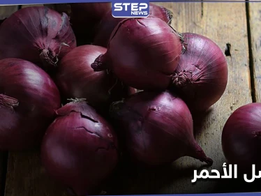 البصل الأحمر وتأثيره في جسم الإنسان.. فوائد لن تصدقها