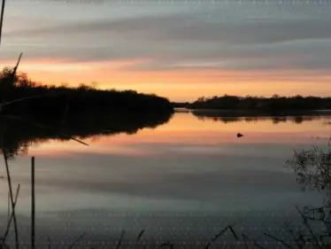 الضغط الأمريكي يفرض اتفاقًا مائيًا جديدًا مع المكسيك - وكالة ستيب نيوز