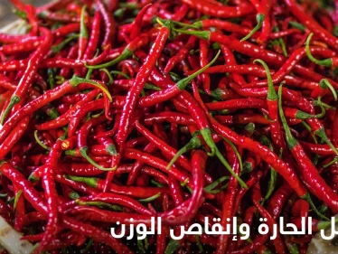 هل التوابل الحارة تساعد في إنقاص الوزن؟.. خبيرة تحسم الجدل