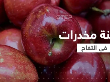 محكمة مصرية تصدر حكماً قوياً على عصابة هرّبت المخدرات من سوريا من خلال "التفاح"