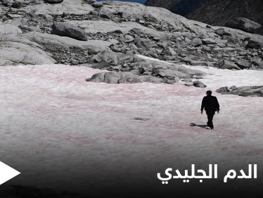 "الدم الجليدي" ظاهرة تحول الثلج إلى اللون الوردي في جبال الألب قد تغير المفاهيم العلمية حول المناخ في كوكبنا