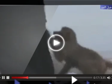 بالفيديو|| قرد يحاول سرقة ملابس إحرام سيدة على جبل النور بمكة المكرمة يثير تفاعلاً على التواصل الاجتماعي
