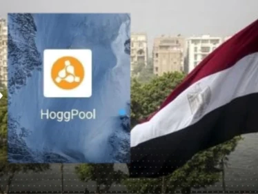 في عملية احتيال كبيرة.. منصة "هوج بول" تسرق مئات المصريين