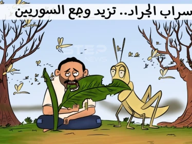 أسراب الجراد تهاجم سوريا