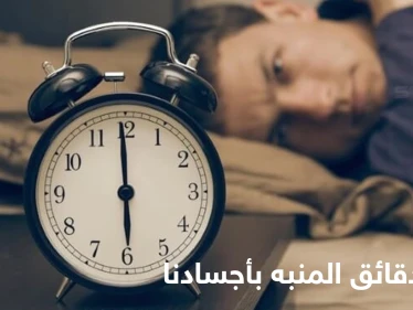 "تغفو، تخسر".. دراسة تكشف ماذا يحدث في أجسامنا عند الضغط على زر الغفوة