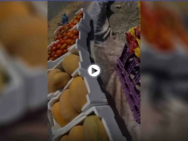 بالفيديو|| مواطن يحرج بائعة خضار مسنة ويقوم بتصويرها والتنمر عليها.. وإجراء قانوني عاجل بحقه