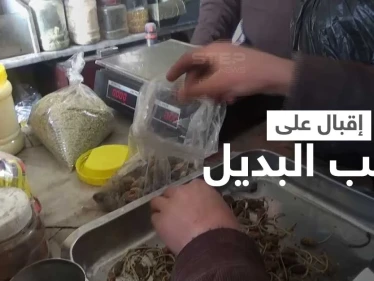 الطب البديل للواجهة مجدداً شمال شرق سوريا جرّاء غلاء المعاينات الطبية وأسعار الأدوية