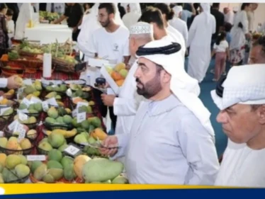 بهدف تبادل الخبرات.. الشارقة تستعد لإطلاق فعاليات  مهرجان المانجو