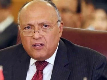 وزير الخارجية المصري يحذّر من ملء إثيوبيا سد النهضة ويعرض على غوتيرش سبل الحل