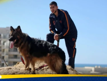 "كلاب ضخمة بمنازل غزة".. صحيفة عبرية تكشف عن ظاهرة جديدة يواجهها الجيش الإسرائيلي